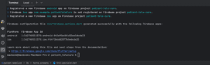 sucessfully connected project in terminal